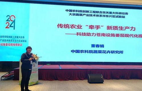科技賦能，降本增效 中國農科院助力設施番茄產業變革